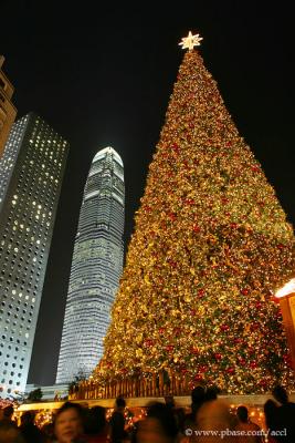 g3/52/155652/3/56830800.IMG_3140.jpg