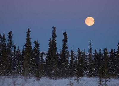 Alaska moon setting.jpg