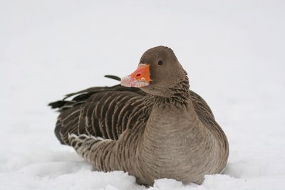 IMG_3327.jpg