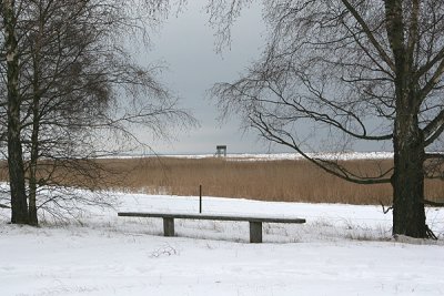 IMG_3320.jpg
