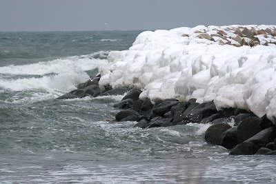 IMG_3346.jpg
