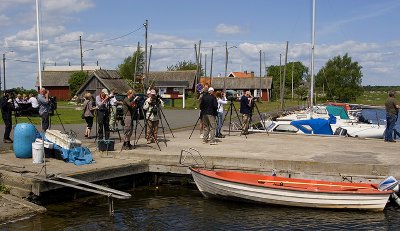 IMG_4374.jpg