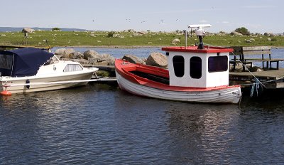 IMG_4376.jpg