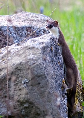 IMG_6650.jpg