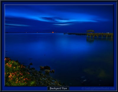 P21_06307_5_BackyardViewPx.jpg