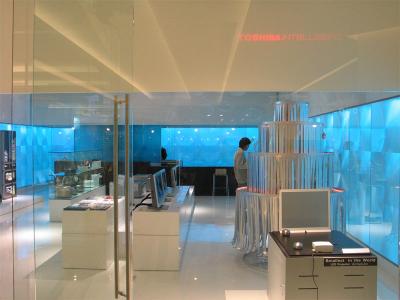 ..like this designer-look Toshiba Intellisense showcase shop.