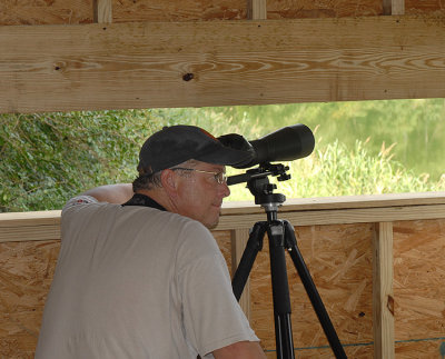 Bird Observation from Viewing Deck