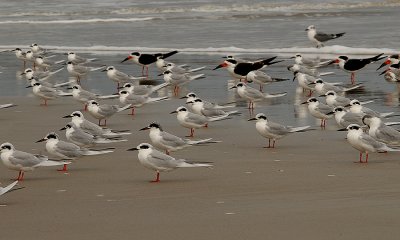 g3/52/363052/3/107765892.AjLSGdHd.jpg