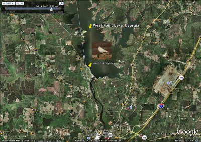 Site of Ivory Gull Observation at West Point Lake (West Central Georgia) 
