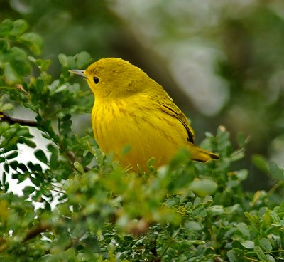 g3/52/363052/3/122669048.z48tGAhQ.jpg