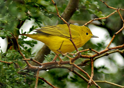 g3/52/363052/3/122685064.Y92yNSwF.jpg