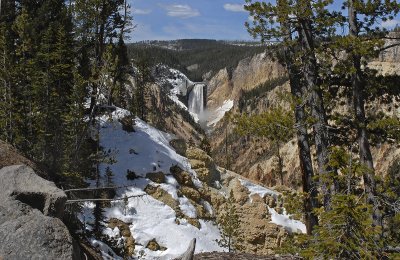 Yellowstone Lower Falls