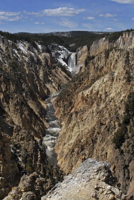 Yellowstone Lower Falls 