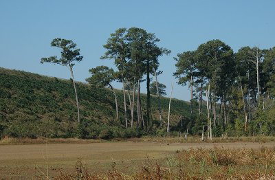 Lagoon on opposite side of railroad tracks