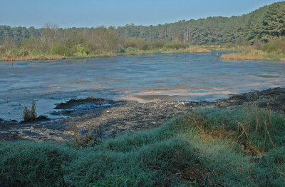 Lagoon entrance at start of development of preserve