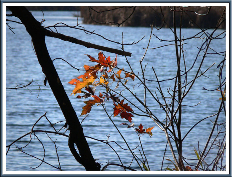 October 31 - Autumn Colors
