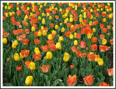 May 10 - Happy Mothers' Day