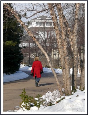 December 18 - A Winter Walk