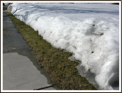 March 01 - Spring?