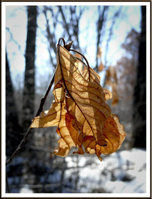 March 02 - Hanging On