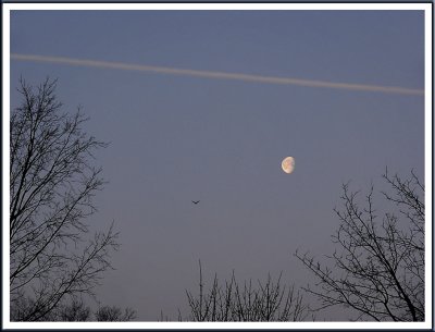 March 04 - Morning Moon