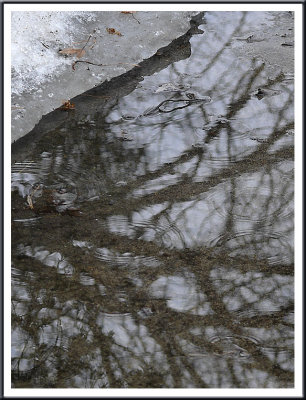 March 10 - Rain