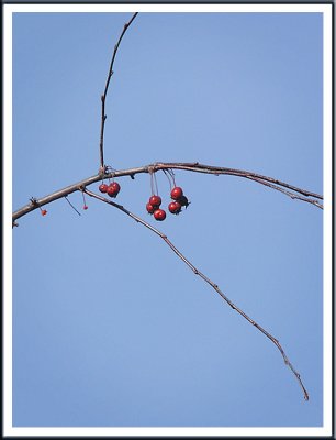 March 21 - Red and Blue