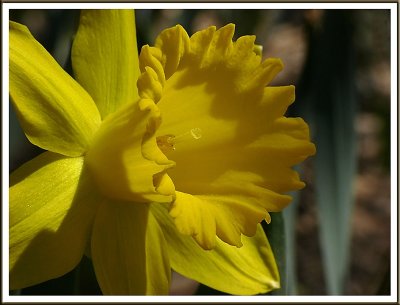 April 17 - Hello, Yellow
