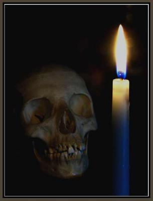 g3/52/382352/3/54887930.Skull011506614B.jpg