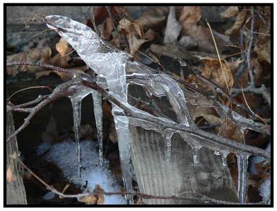 g3/52/382352/3/56131991.Ice021306142.jpg