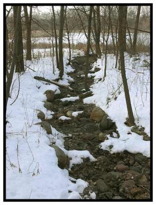 February 21 - Dry Creek
