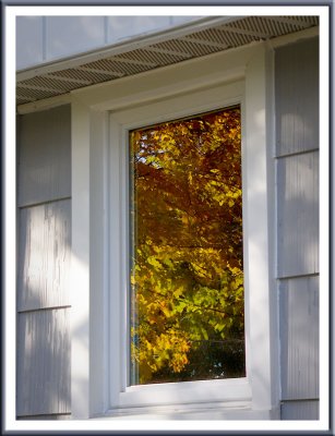 October 25 - Rear Window