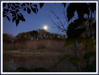 October 29 - Moonrise