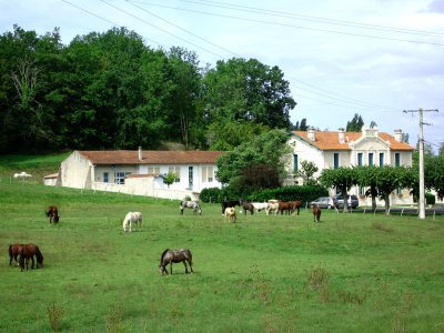 The Mairie