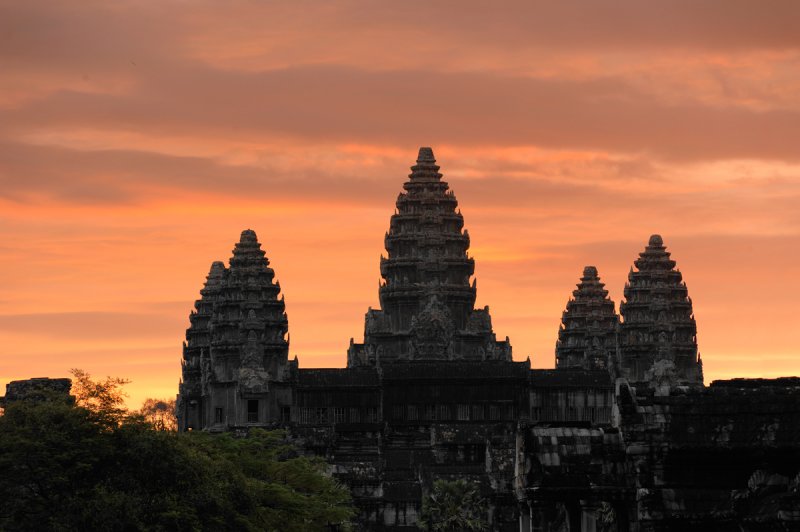 Cambodia. Lotuses of Angkor Wat at sunrise