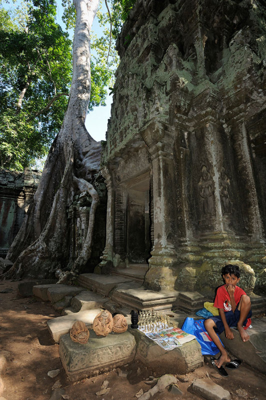 Cambodia. Ta Prohm