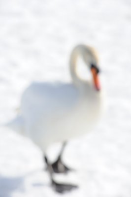 g3/52/413652/3/110135310.jFNqd1DL.jpg