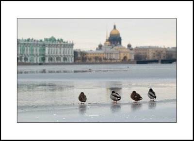 Saint Petersburg (08-10.03.2008)