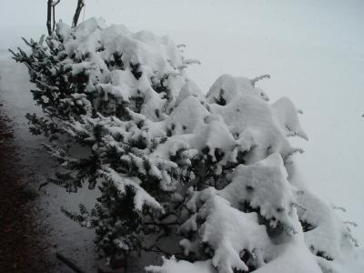 DSC03980.JPG