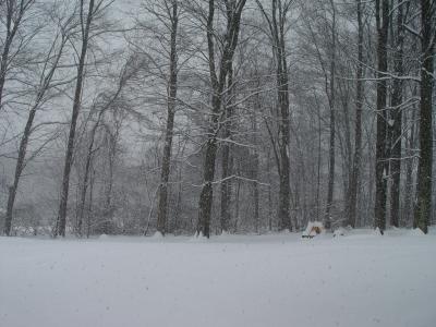 DSC03981.JPG