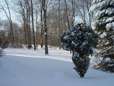 DSC04026.JPG