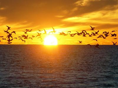 Sunset @ Key West