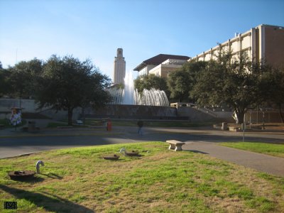 University of Texas