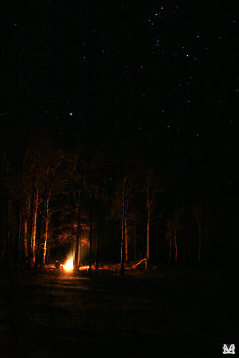 The Beauty of Camping