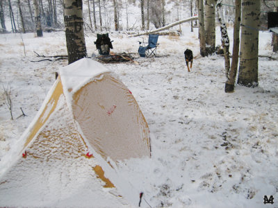 February Camp