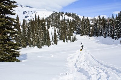 Snowshoe Trail