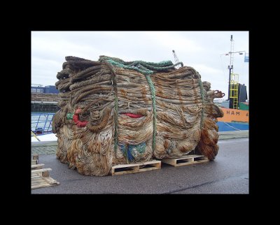 Boats035-IJmuiden