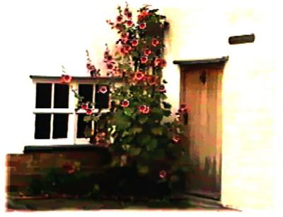 cottage with hollyhocks