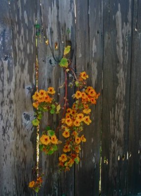 g3/52/525752/3/110049144.yfXR9sPw.jpg