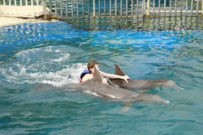 Oahu Sea Life Park_MG_0579.JPG